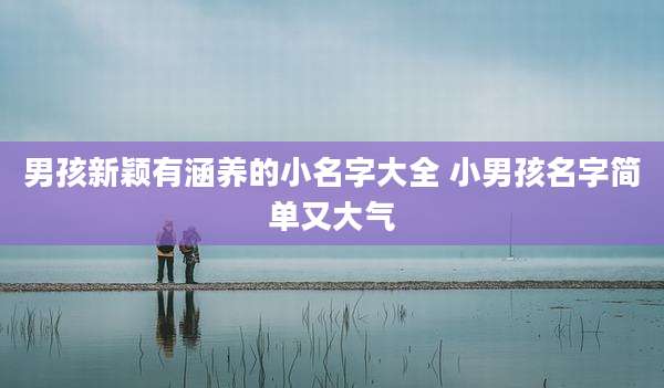 男孩新颖有涵养的小名字大全 小男孩名字简单又大气