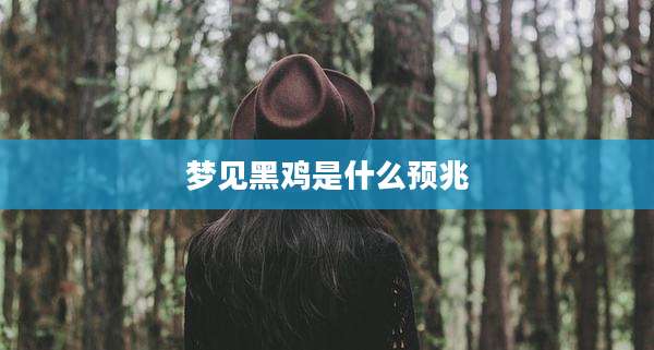 梦见黑鸡是什么预兆