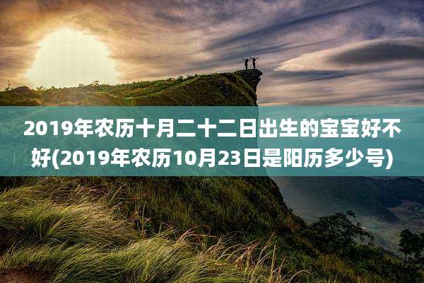 2019年农历十月二十二日出生的宝宝好不好(2019年农历10月23日是阳历多少号)