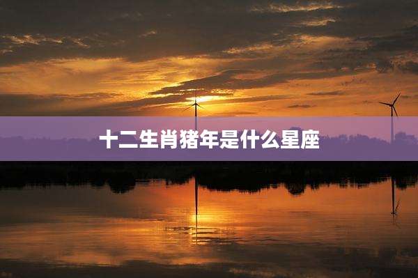 十二生肖猪年是什么星座