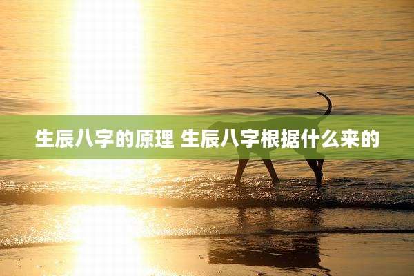 生辰八字的原理 生辰八字根据什么来的