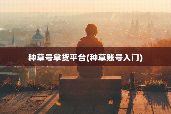 种草号拿货平台(种草账号入门)