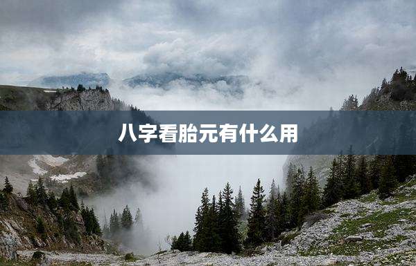 八字看胎元有什么用