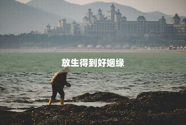 放生得到好姻缘