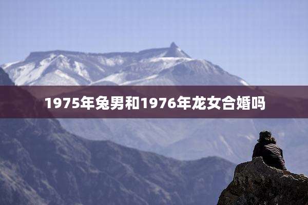 1975年兔男和1976年龙女合婚吗
