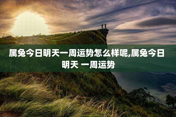 属兔今日明天一周运势怎么样呢,属兔今日 明天 一周运势