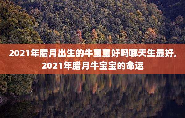 2021年腊月出生的牛宝宝好吗哪天生最好,2021年腊月牛宝宝的命运