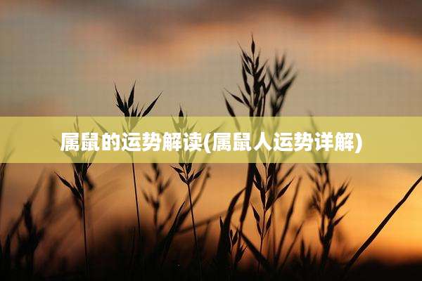 属鼠的运势解读(属鼠人运势详解)