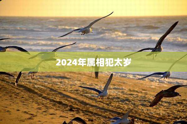 2024年属相犯太岁