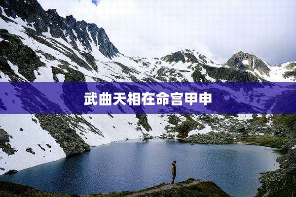 武曲天相在命宫甲申
