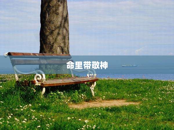 命里带敬神