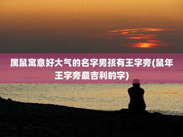 属鼠寓意好大气的名字男孩有王字旁(鼠年王字旁最吉利的字)