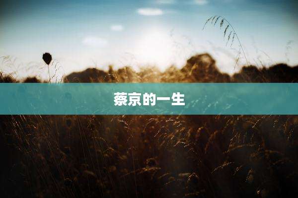 蔡京的一生