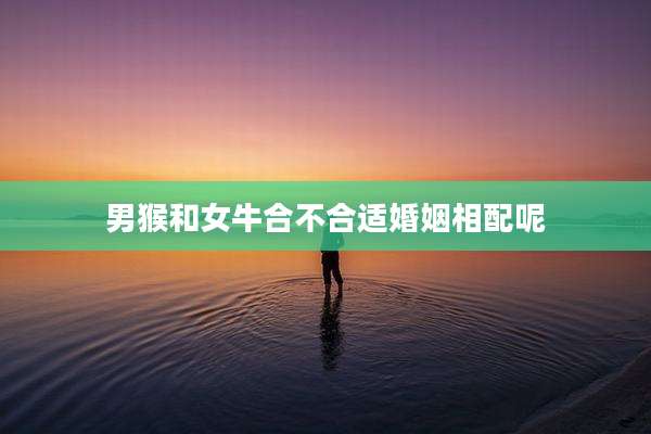 男猴和女牛合不合适婚姻相配呢