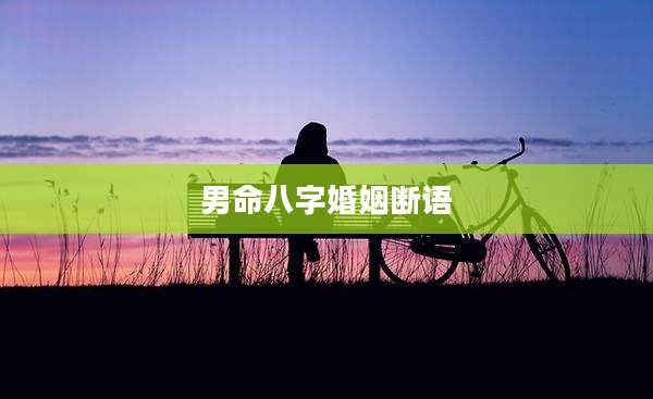 男命八字婚姻断语