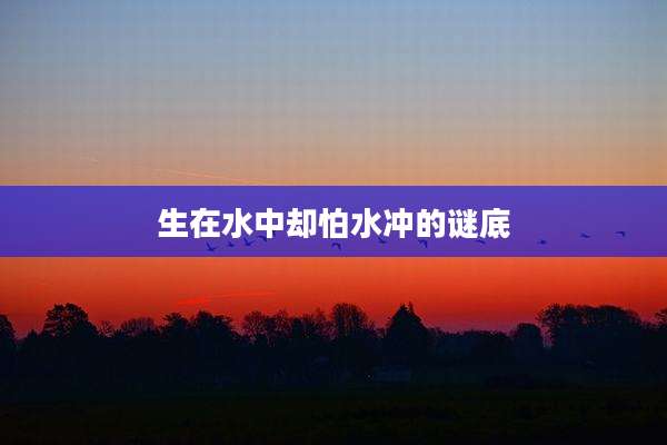 生在水中却怕水冲的谜底