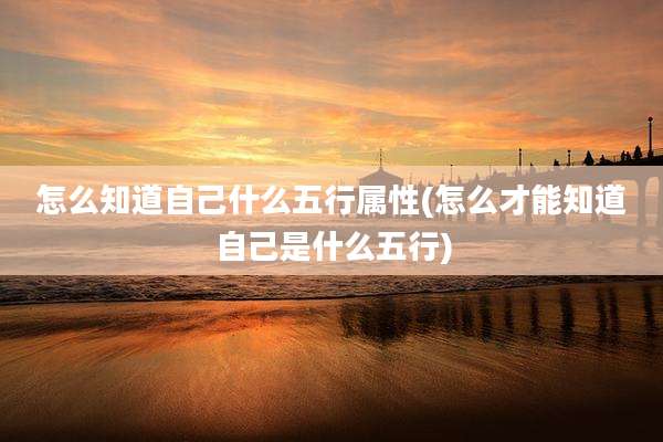 怎么知道自己什么五行属性(怎么才能知道自己是什么五行)