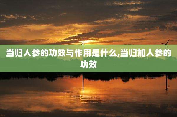 当归人参的功效与作用是什么,当归加人参的功效