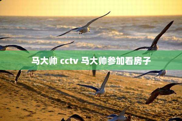 马大帅 cctv 马大帅参加看房子