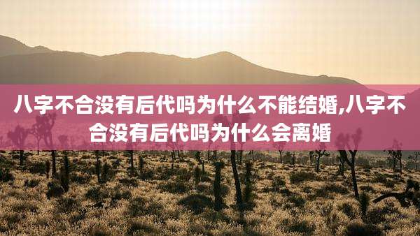 八字不合没有后代吗为什么不能结婚,八字不合没有后代吗为什么会离婚