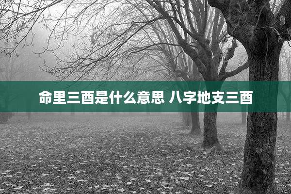命里三酉是什么意思 八字地支三酉