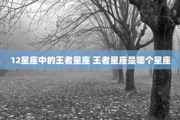12星座中的王者星座 王者星座是哪个星座
