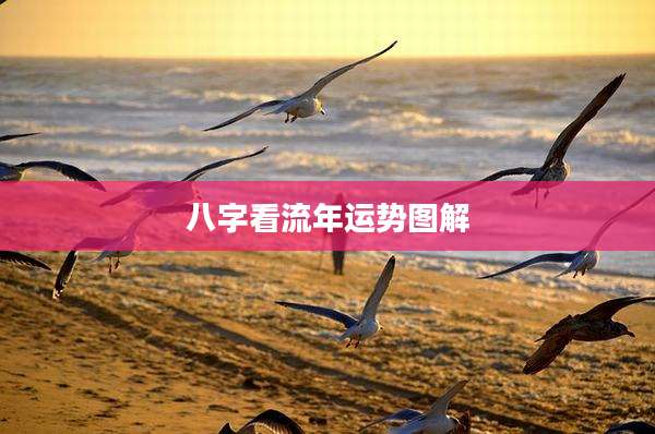 八字看流年运势图解