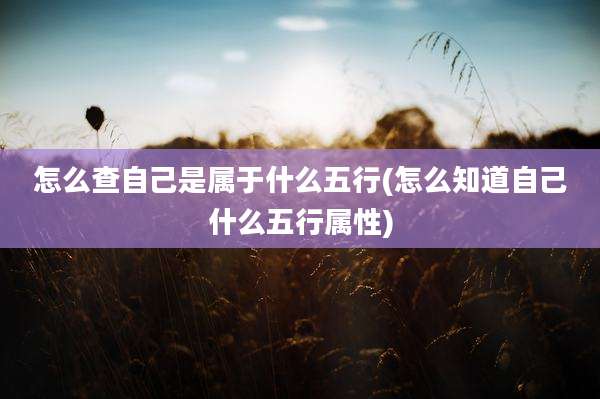 怎么查自己是属于什么五行(怎么知道自己什么五行属性)