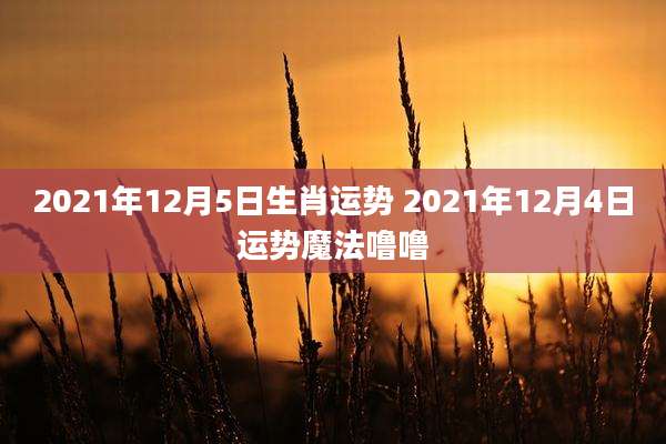 2021年12月5日生肖运势 2021年12月4日运势魔法噜噜