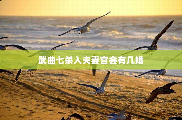 武曲七杀入夫妻宫会有几婚