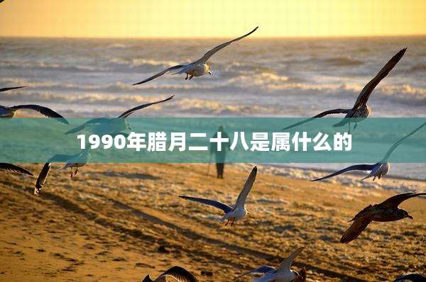 1990年腊月二十八是属什么的