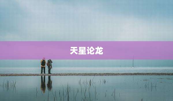 天星论龙
