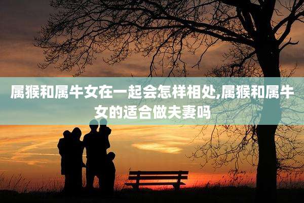 属猴和属牛女在一起会怎样相处,属猴和属牛女的适合做夫妻吗