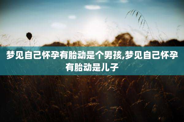 梦见自己怀孕有胎动是个男孩,梦见自己怀孕有胎动是儿子