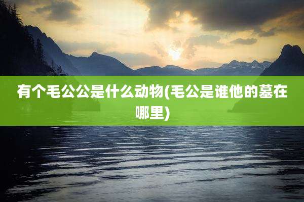 有个毛公公是什么动物(毛公是谁他的墓在哪里)
