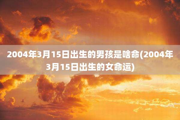 2004年3月15日出生的男孩是啥命(2004年3月15日出生的女命运)