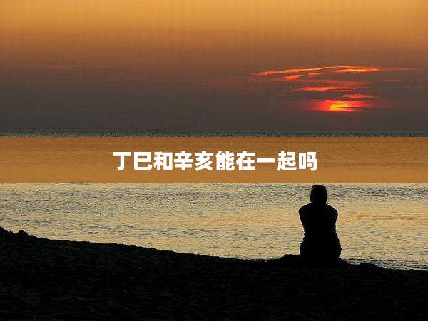 丁巳和辛亥能在一起吗