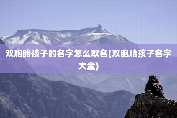 双胞胎孩子的名字怎么取名(双胞胎孩子名字大全)