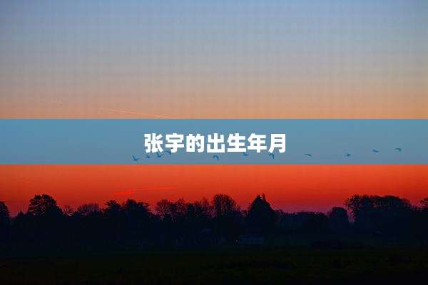 张宇的出生年月