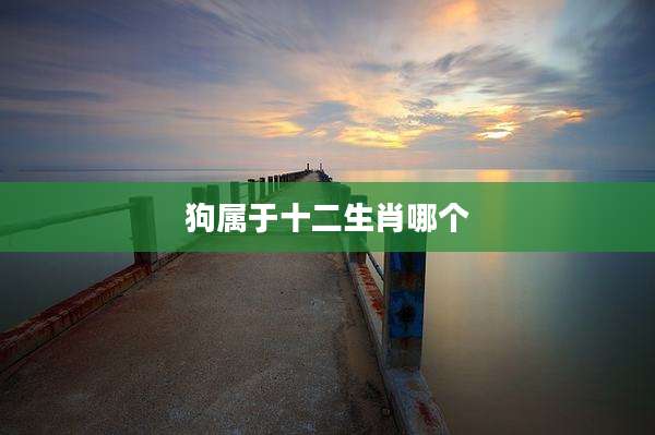 狗属于十二生肖哪个