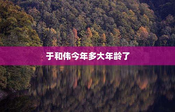 于和伟今年多大年龄了