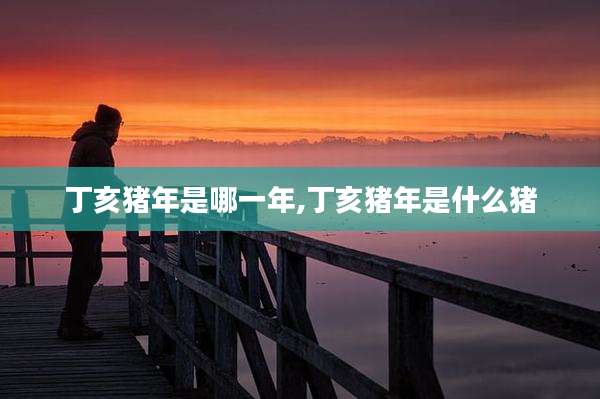 丁亥猪年是哪一年,丁亥猪年是什么猪