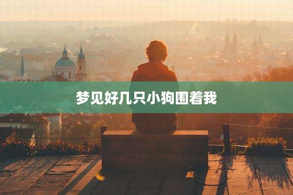 梦见好几只小狗围着我