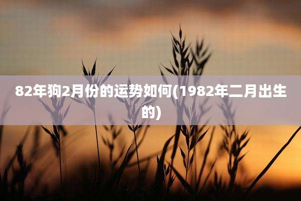 82年狗2月份的运势如何(1982年二月出生的)