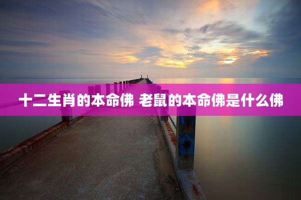 十二生肖的本命佛 老鼠的本命佛是什么佛