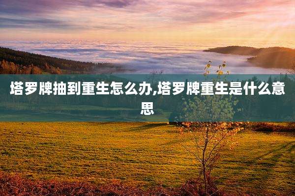 塔罗牌抽到重生怎么办,塔罗牌重生是什么意思