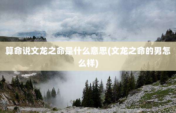 算命说文龙之命是什么意思(文龙之命的男怎么样)