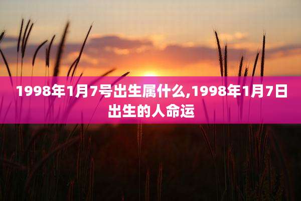 1998年1月7号出生属什么,1998年1月7日出生的人命运