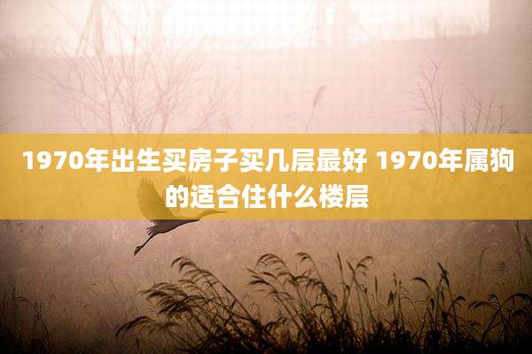 1970年出生买房子买几层最好 1970年属狗的适合住什么楼层