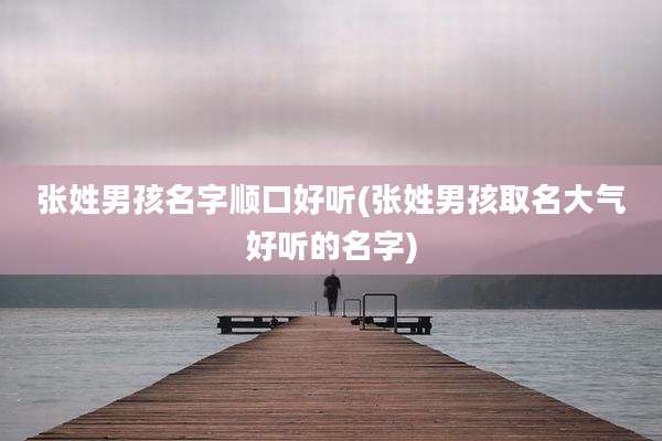 张姓男孩名字顺口好听(张姓男孩取名大气好听的名字)